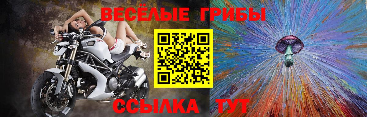 Псилоцибиновые грибы Cubensis  Вход с VPN  Волоколамск  Псилоцибиновые грибы Psilocybine cubensis 